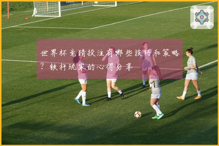 世界杯竞猜投注有哪些技巧和策略？铁杆玩家的心得分享