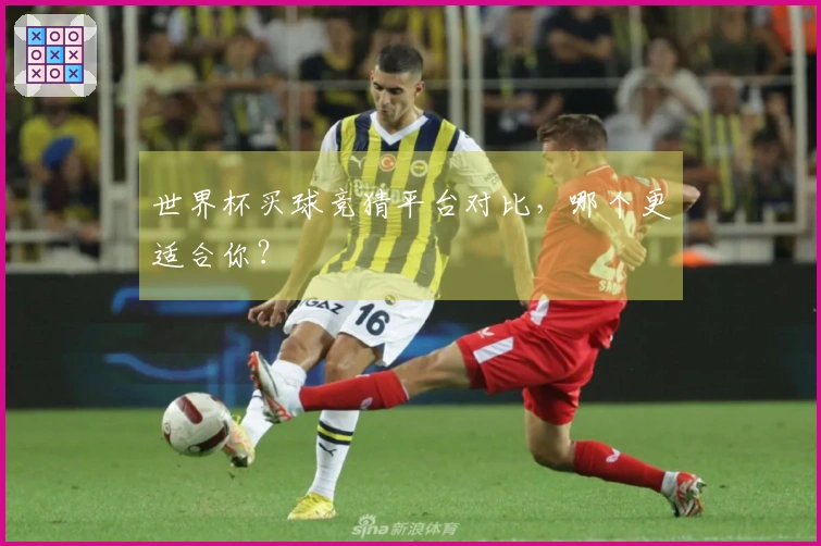 世界杯买球竞猜平台对比，哪个更适合你？