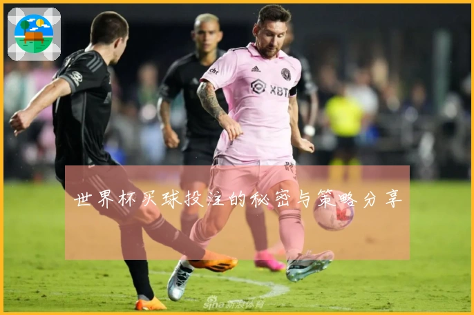 世界杯买球投注的秘密与策略分享