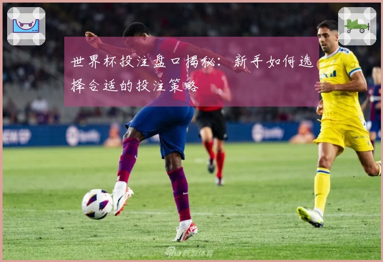 世界杯投注盘口揭秘：新手如何选择合适的投注策略