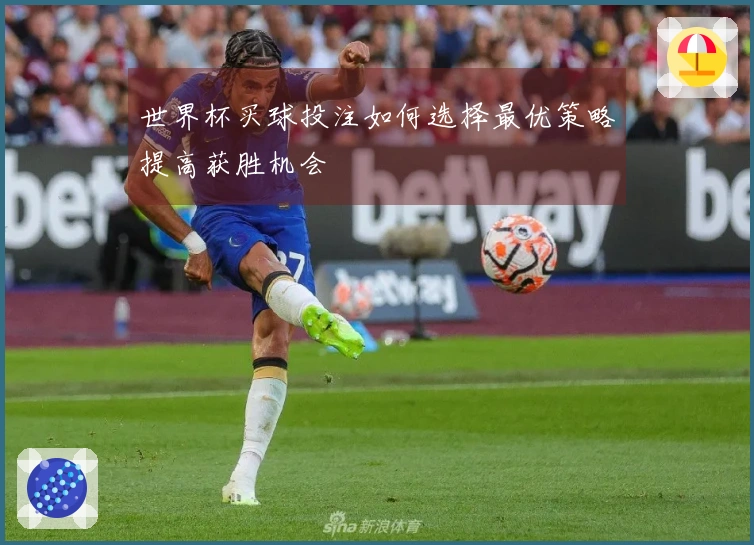 世界杯买球投注如何选择最优策略提高获胜机会