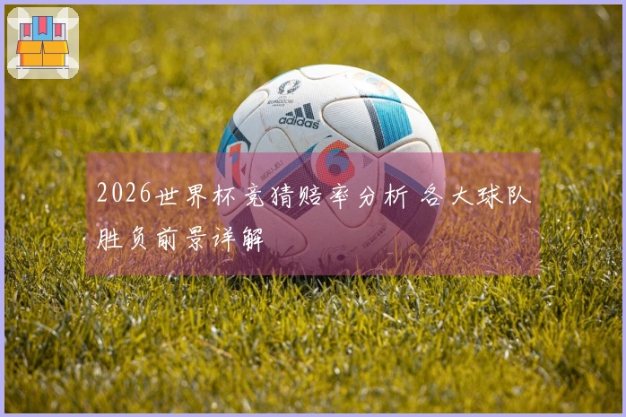 2026世界杯竞猜赔率分析 各大球队胜负前景详解