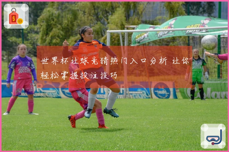 世界杯让球竞猜热门入口分析 让你轻松掌握投注技巧