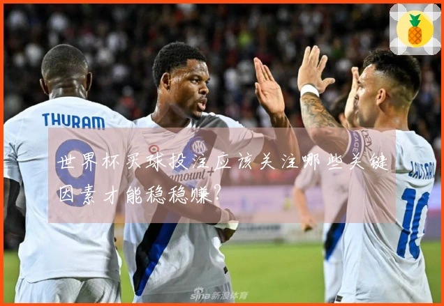 世界杯买球投注应该关注哪些关键因素才能稳稳赚？