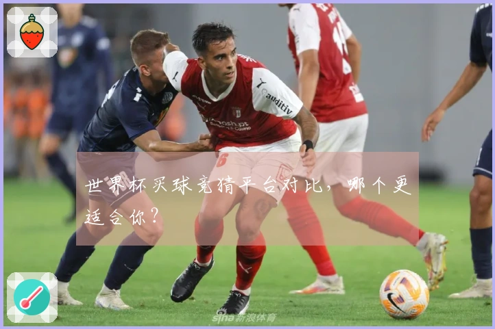 世界杯买球竞猜平台对比，哪个更适合你？