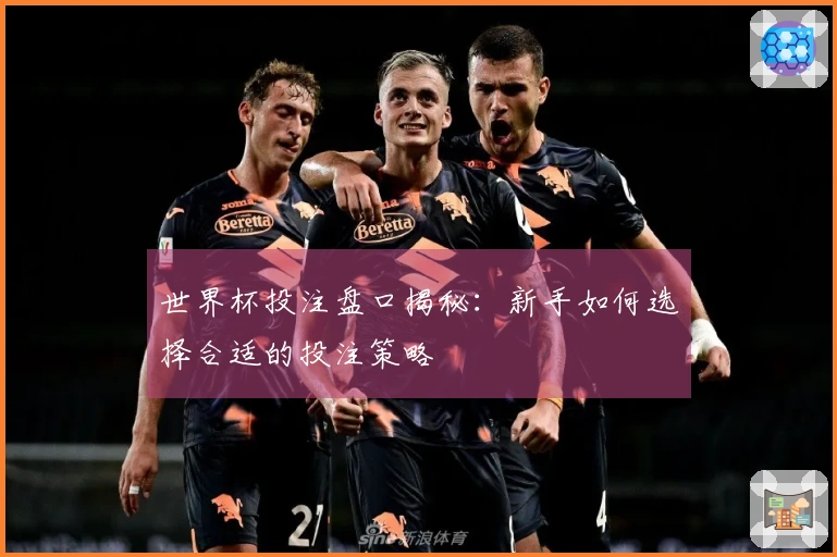 世界杯投注盘口揭秘：新手如何选择合适的投注策略